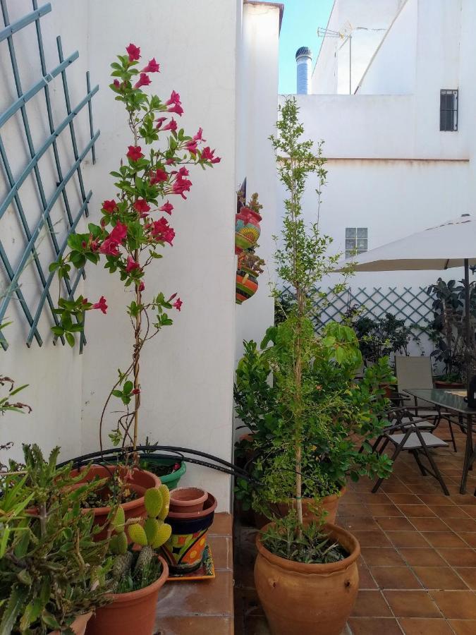 Casa Rural Con Chimenea, Barbacoa, Terraza Y Solarium Villa Illar Dış mekan fotoğraf